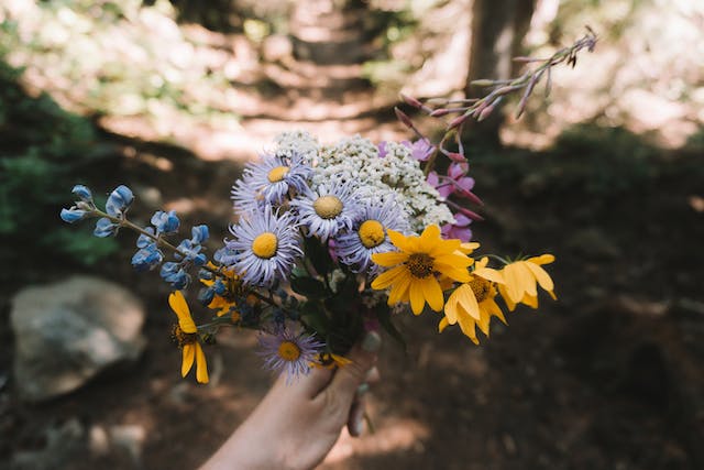 a bundle of flowers